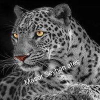 masör Seyhan ateş 07 (@07seyhanmasor) 's Twitter Profile