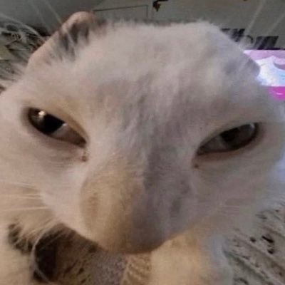 Trent_Kingdom's profile picture. 