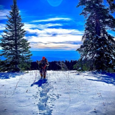 NickxSeal's profile picture. 