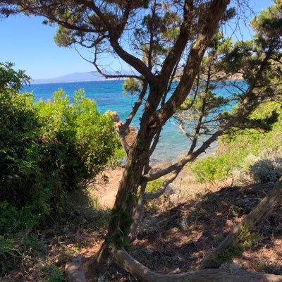 lissia_fausta's profile picture. 