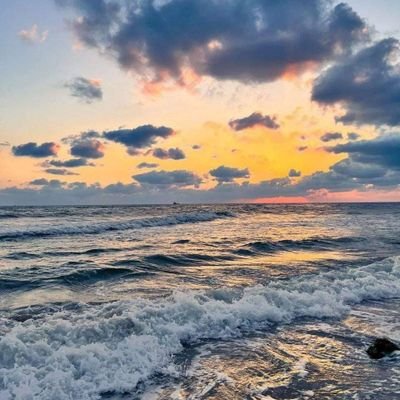 سيبقى مشهد الإنسان وهو -يحاول عشانك-

المشهد الأحن والأجمل🤎🤎🕊.

Eng /Donia🦺