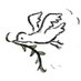 The Cathy Wilcox (@cathywilcox1) Twitter profile photo The Cathy Wilcox (@cathywilcox1) Twitter profile photo
