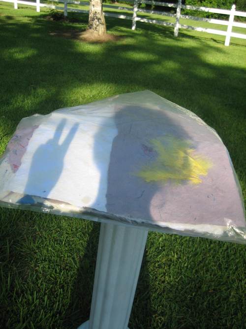 teacher, artist, citizen of the universe