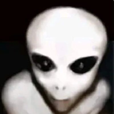 joaoantonioluco's profile picture. 