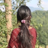 Tulip Tales (@talestulip) 's Twitter Profile