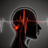 Mind Amplifier (@mindamplifier_) 's Twitter Profile Photo Mind Amplifier (@mindamplifier_) 's Twitter Profile Photo