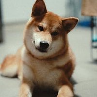 Yoko Kinsley (@yokokd84) 's Twitter Profile
