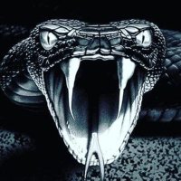 ‹‹!_イꃬȝ 🦅Σꪜเ℘εƦ🐍_{एक तरफा}!:«« (@im_jee2) 's Twitter Profile