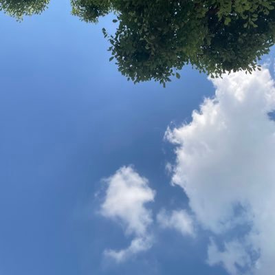 5_with_theflow's profile picture. 