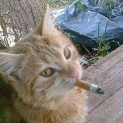 rft_7's profile picture. THE TRUTH IS OUT THERE. 密かにプロフ更新。心機一転、僅かに漸進。言葉遊びで改新、慢心乱心で韻蹴踏、これ如何に。恥ずかしいこと、この上無いと。煩わしいけど、消耗ナイト。意味ない言葉の羅列、俺の脳内下劣。そこに刻んだ戯言炸裂。惰性の中で暇潰しのライム、虚勢で固めた必死のマイム。必死コイて日々是前進。