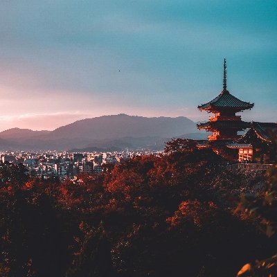 mRNAワクチン反対。ワクチン被害者遺族になりすましたアカウントを追及。反ワクになりすましワク信に〇害予告をしているアカウントを観察。