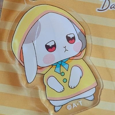 山野🐰さんのプロフィール画像