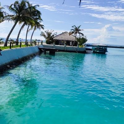 mujib12mujib's profile picture. 