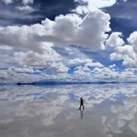 nature (@blue_moon1976) 's Twitter Profile Photo