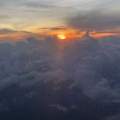 juji________'s profile picture. 🟧CA & CMA aspirant 🟧Amateur Pianist