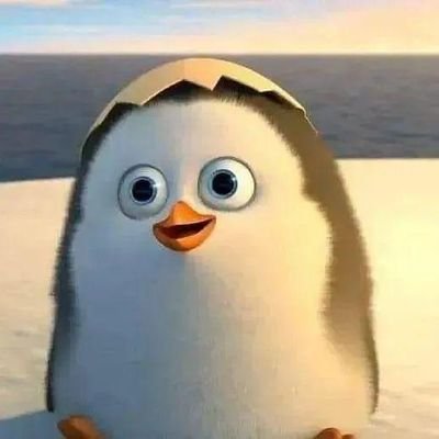 VISHNUM35's profile picture. 