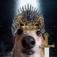 Doge coin maximalist (bluelock mode) (@dogemaxixd) Twitter profile photo