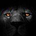 Saim (@muhamma39729939) Twitter profile photo Saim (@muhamma39729939) Twitter profile photo