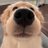 benbenz_coffee's profile image