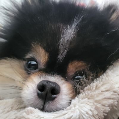 jummyさんのプロフィール画像