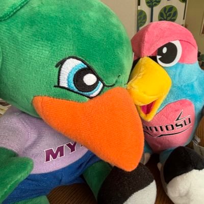 Wa_myfc's profile picture. ① #藤枝MYFC ② #サガン鳥栖 #ガイナーレ鳥取 の関東アウェイ（ゴール裏）によく出没 ◎2/15藤総16愛鷹22ヤマハ・3/9甲府16群馬・4/5駅スタ✈️・5/3藤総6ギオンス31藤総🎊・6/14水戸21NACK・7/5千葉🎊・9/27栃木C28水戸・10/18NACK・11/2いわき9千葉23藤総
