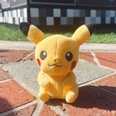 ぴかぴさんのプロフィール画像