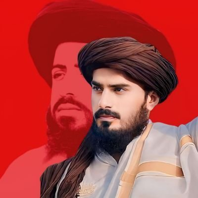 @TLP_Trends9263