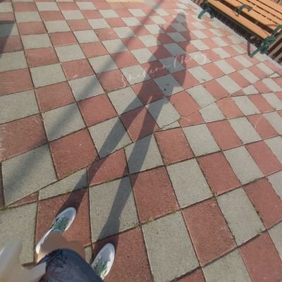 ShelennC's profile picture. 雪莉 零糖社交 愛人如養花🪻分享生活 記錄心情