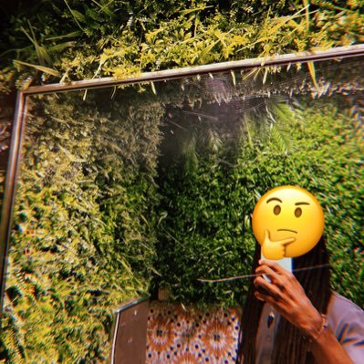 msankofam's profile picture. 🤓environmental biotechnologist 🌳master of science in applied ecology 🔬bioinformatics 🧬 computers 💻microbiology 🧫