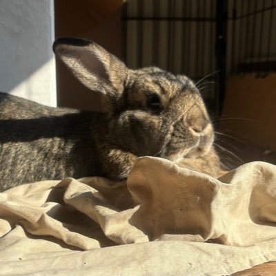 Leiasmom19's profile picture. 