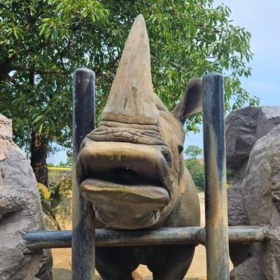 piyopiy54599989's profile picture. 