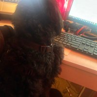 The love of Basketball (@mzchell27) 's Twitter Profile Photo