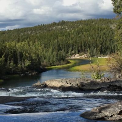 sora_ula's profile picture. 