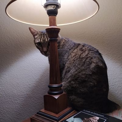 LuciaOnuba's profile picture. 