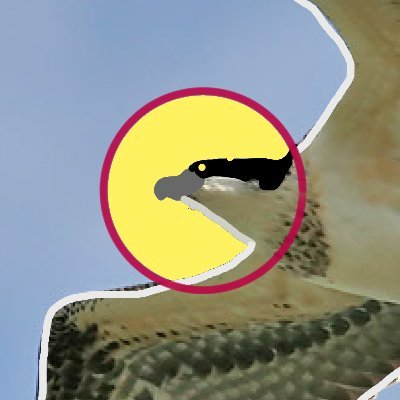 OssieFisheater's profile picture. 