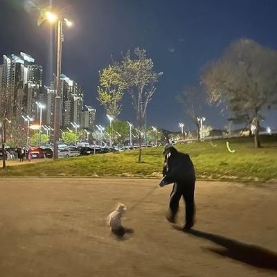 mwissmosh's profile picture. track 013