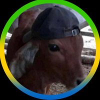alê (@alessdrb) 's Twitter Profile