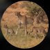 ChicagoCheetah (@chicagoxcheetah) Twitter profile photo ChicagoCheetah (@chicagoxcheetah) Twitter profile photo