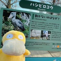 こだっく (@k0duck100) 's Twitter Profile