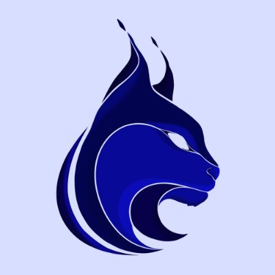 LynxGC_'s profile picture. 🇮🇹 | Esport Valorant Female Team #GoLyx 💙