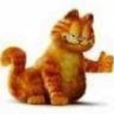 xingshi's profile image
