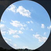クマココ🍀楽天ROOM (@kumacoco_room) Twitter profile photo
