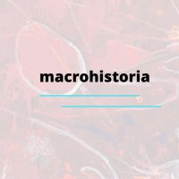 Revista Macrohistoria (@macrohistoria1) 's Twitter Profile