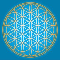 The OM ॐ (@theom_0) 's Twitter Profile