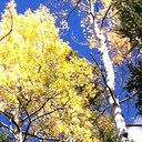 Dr. T.K. Oberholtzer - @GraceRock2009 - Twitter