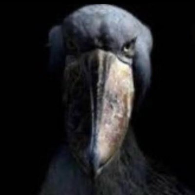 Barcelos678's profile picture. 