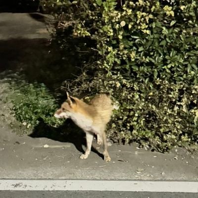 TrjpOaifEo1383's profile picture. 