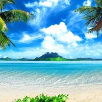 Love Nature (@lovenature689) 's Twitter Profile Photo Love Nature (@lovenature689) 's Twitter Profile Photo