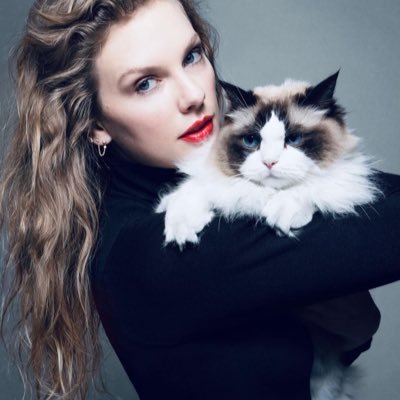 Cat-Lover. Home Improvement Junkie. Private Account; Opinions (and snark) expressed are solely my own.