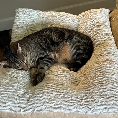 bradley_faggart's profile picture. 